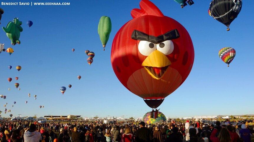 The Angry Bird balloon is just over 24 metres high and is on the look out for little green pigs from the game.
