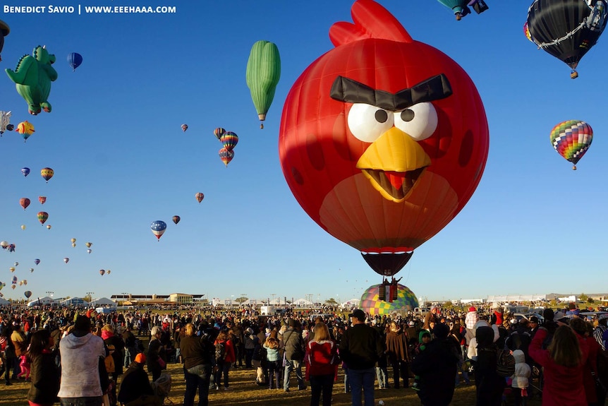 The Angry Bird balloon is just over 24 metres high and is on the look out for little green pigs from the game.