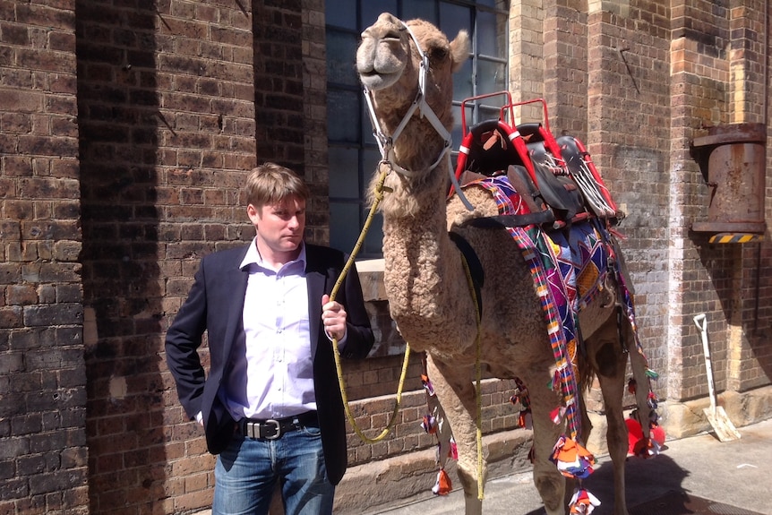 Tom Godfrey holding a camel as a stunt for award recipient camel milk outside the shonky awards