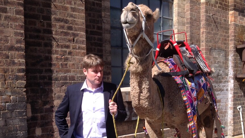 Tom Godfrey holding a camel as a stunt for award recipient camel milk outside the shonky awards