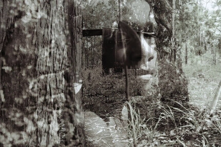 A black and white still from Day In The Life with a face superimposed over some bush and a shack