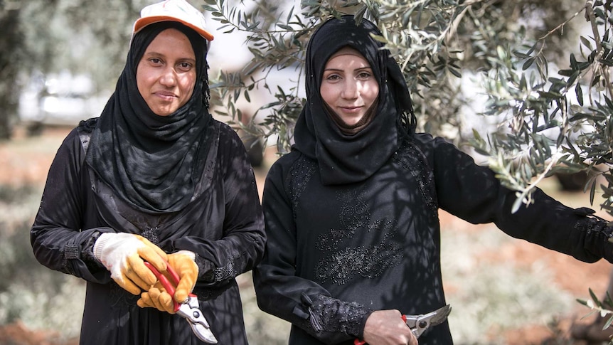 Shoua (left) with her friend Lina learning about olive trees