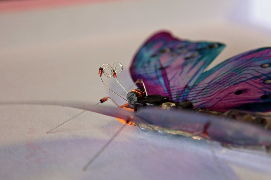 Close look at butterfly sculpture