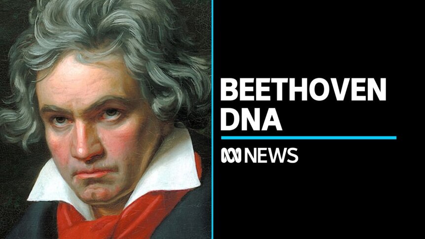 Beethoven's DNA