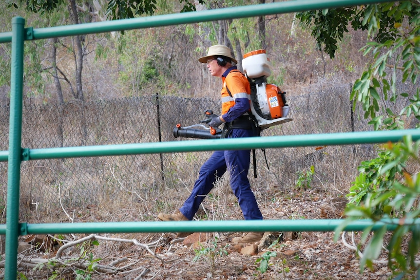 A council worker in hi-vis walks through a field while spraying ant bait