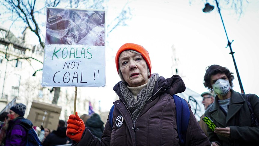 a woman holds a sign reading "koalas not coal" while standing among protesters in london