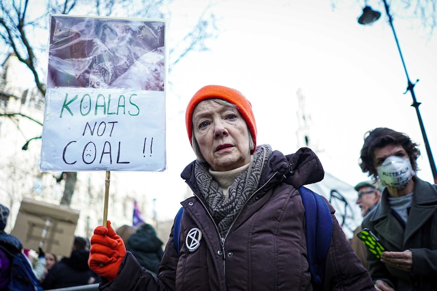 a woman holds a sign reading "koalas not coal" while standing among protesters in london