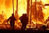 Firefighters are silhouetted running into the flames at Burning Man.