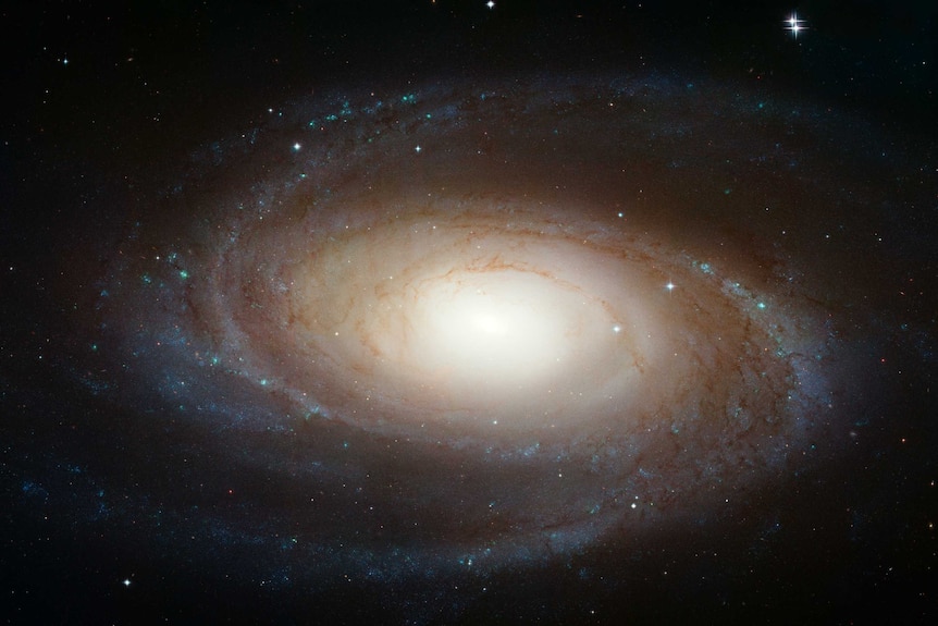 Image of spiral galaxy M81