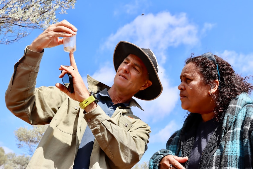 A man with a hat and an Indigenous woman observing a spider in a vial.