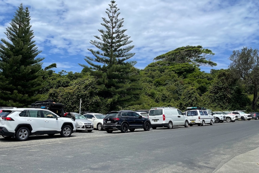 Car park at Seal Rocks overflowed with vehicles, some blocked in