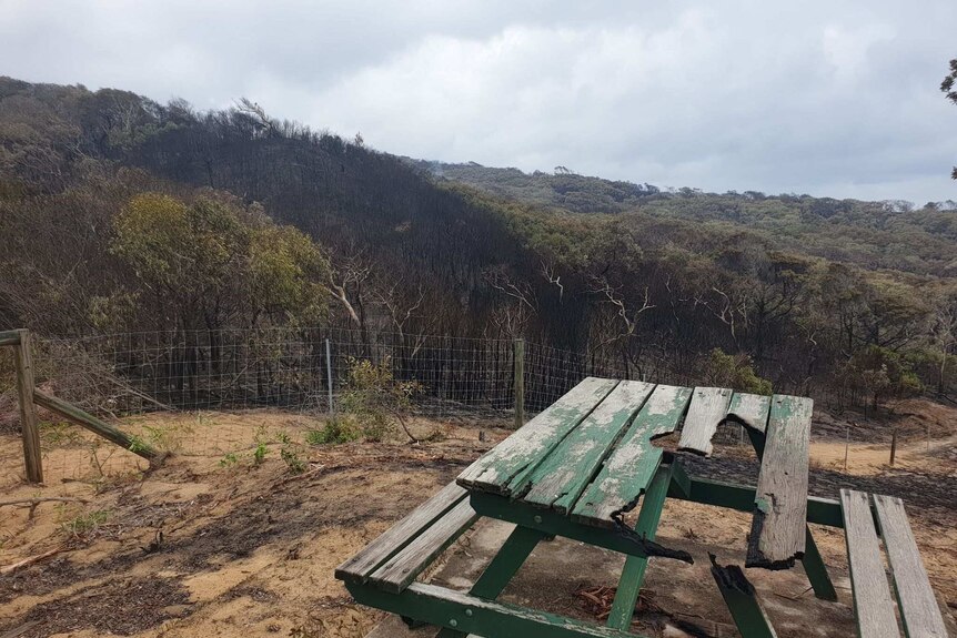 A burnt picnic table amid bushland at Happy Valley