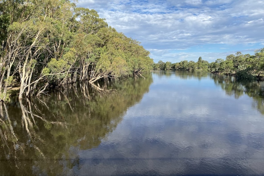 A river system with trees on either side