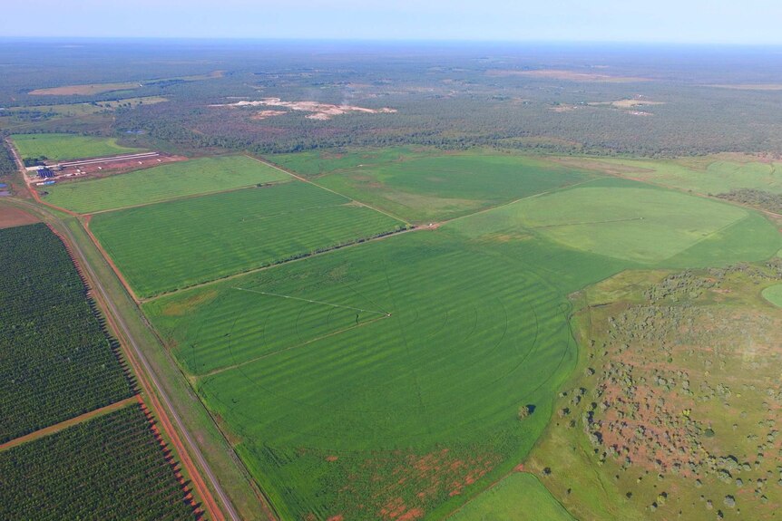 an aerial shot of a cattle yards and cropping paddocks