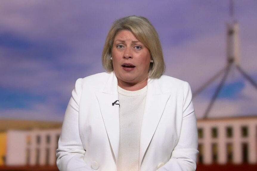A woman appears on a television program in front of a backdrop of parliament house