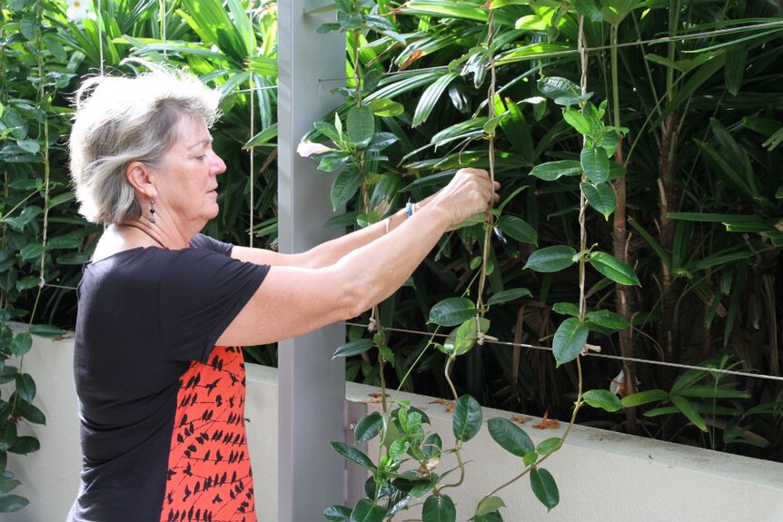A woman tends to a vertical garden