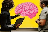 Illustration of a pink brain on a yellow board at work with two men looking for a story about creating a mentally healthy work.