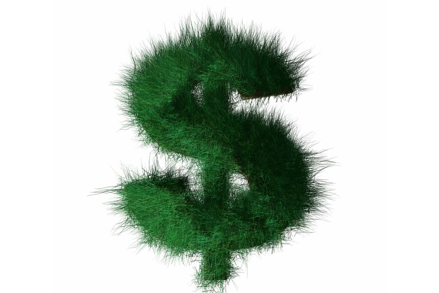 Green dollar (Thinkstock: iStockphoto)