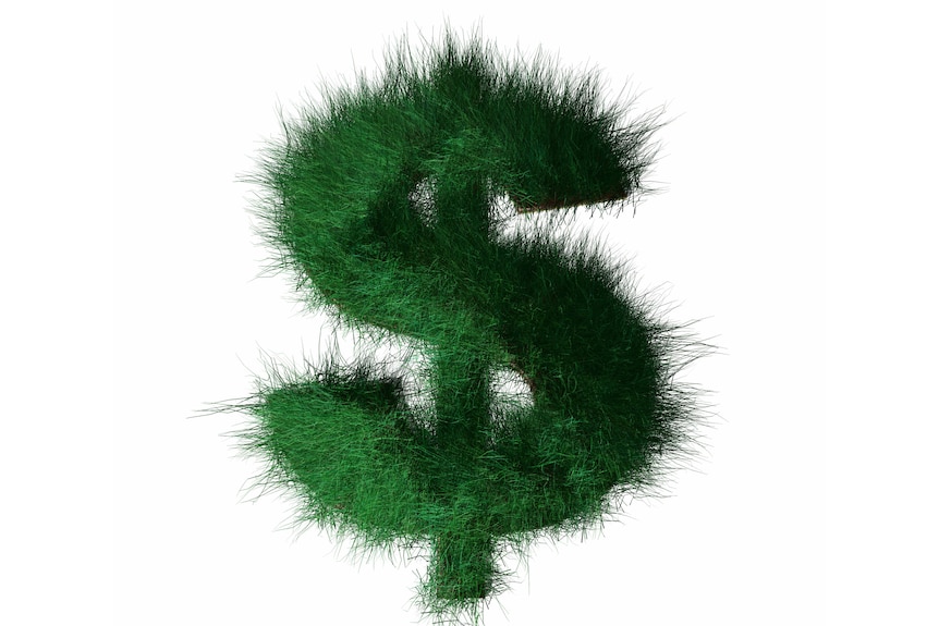 Green dollar (Thinkstock: iStockphoto)