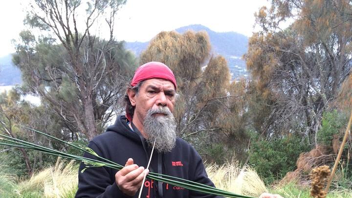 Buck Brown collects reeds near the Museum of Old and New Art to make an Aboriginal canoe for the Dark MOFO festival.