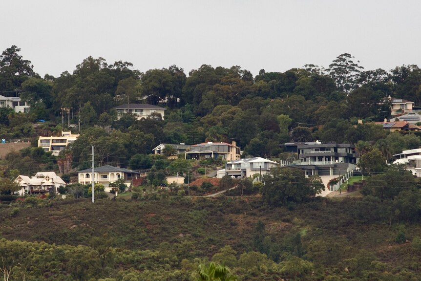 Houses pictured in a tree-dense suburb on a hill