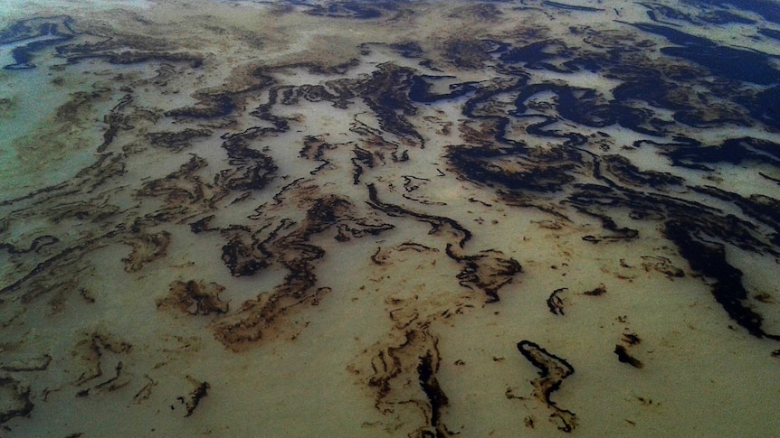 Oil spill from a collision in the Sundarbans' Shela river