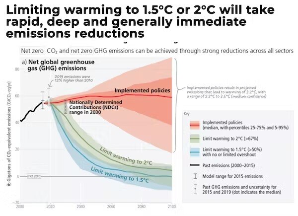 Australian fisheries set to be hit by climate change as IPCC report  forecasts lower yields - ABC News