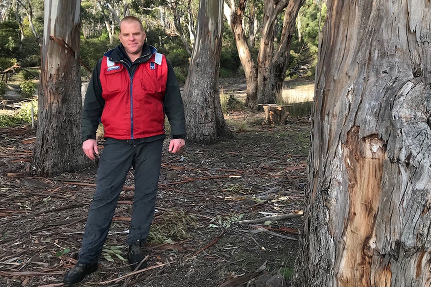 Vica Bayley, Wilderness Society Tasmania, near site of proposed Dover woodchip mill.