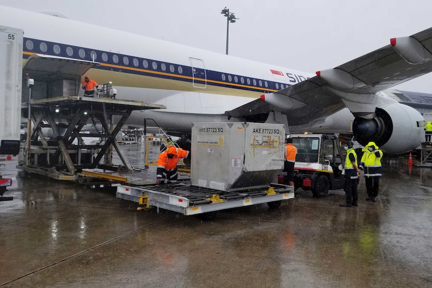 A shipment containing coronavirus vaccines is unloaded from a plane