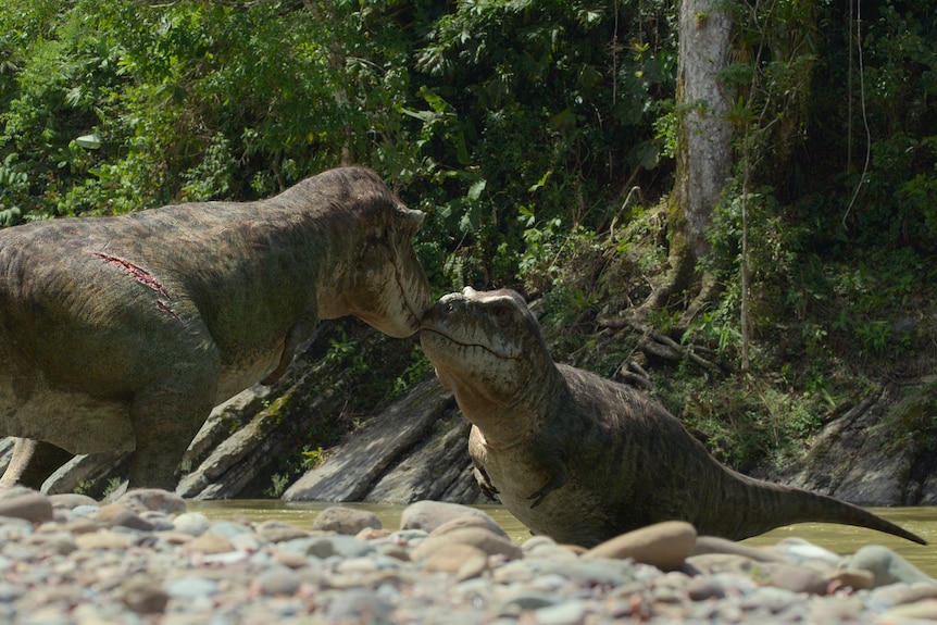 Illustration of two T-rex dinosaurs