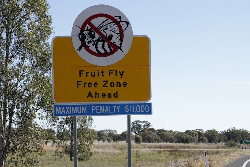 Rural landscape with large road sign warning a Fruit Fly Free Zone is ahead with penalties of $11,000