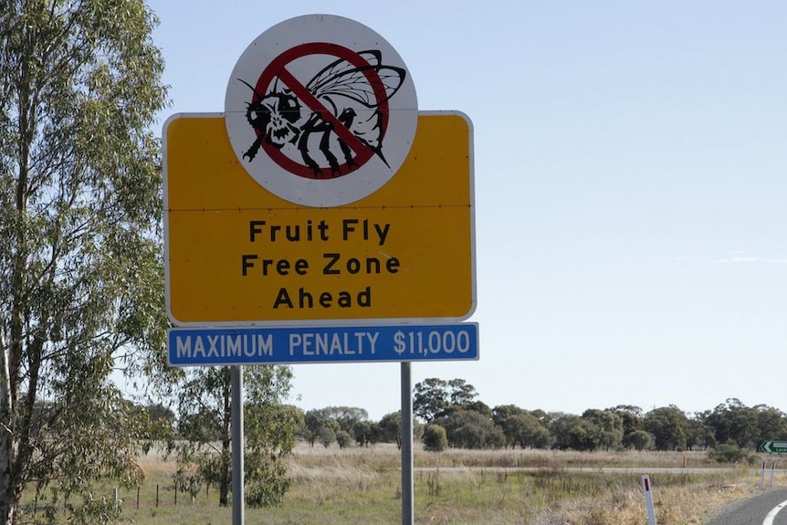 Rural landscape with a large road sign warning of a Fruit Fly Free Zone is ahead of us with fines of $ 11,000