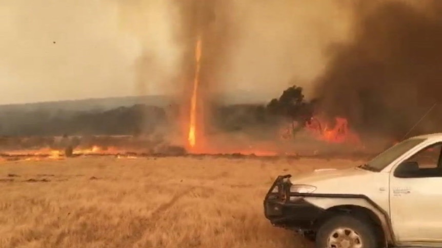 Fire twister on Kangaroo Island