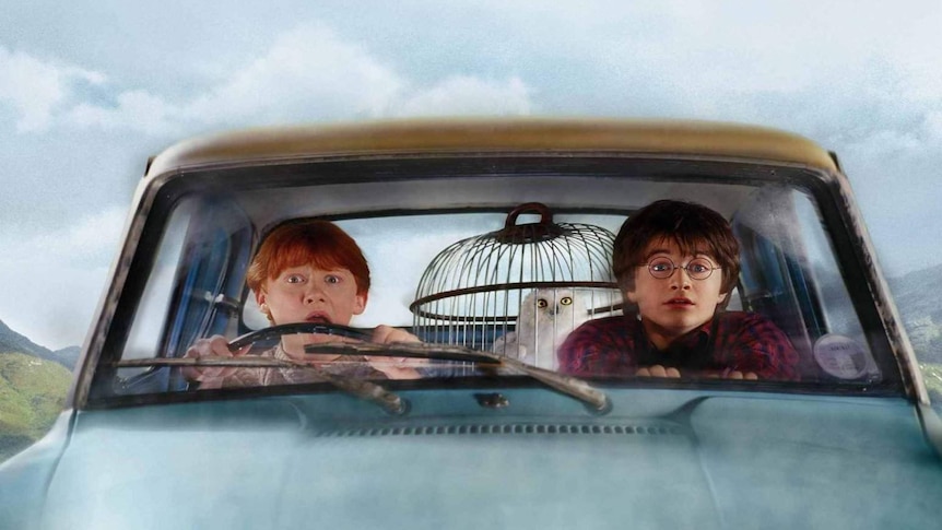 Scene from Harry Potter and the Chamber of Secrets