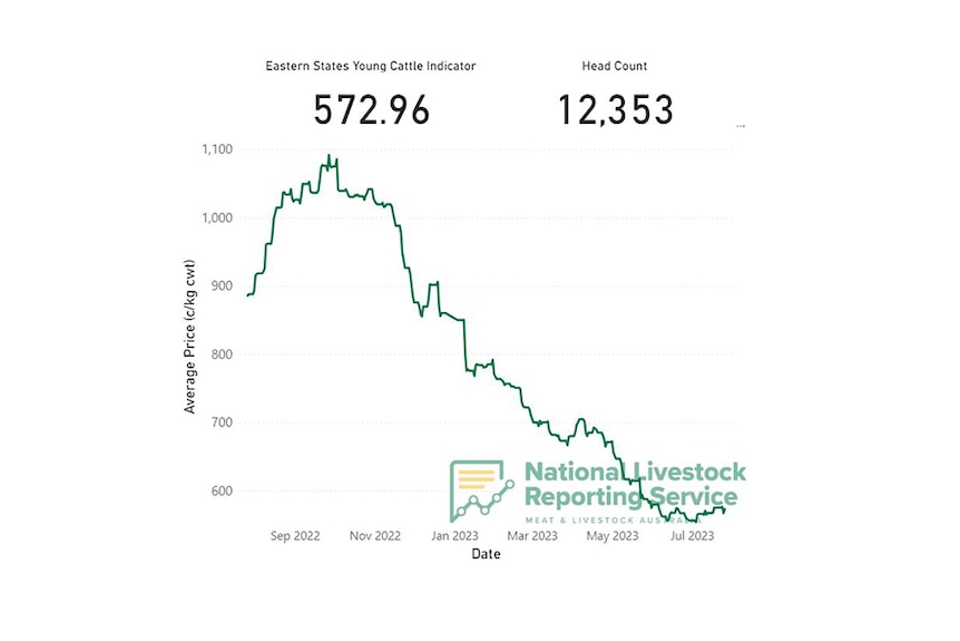 A graph of the Eastern Young Cattle Indicator from September 2022 to July 2023.