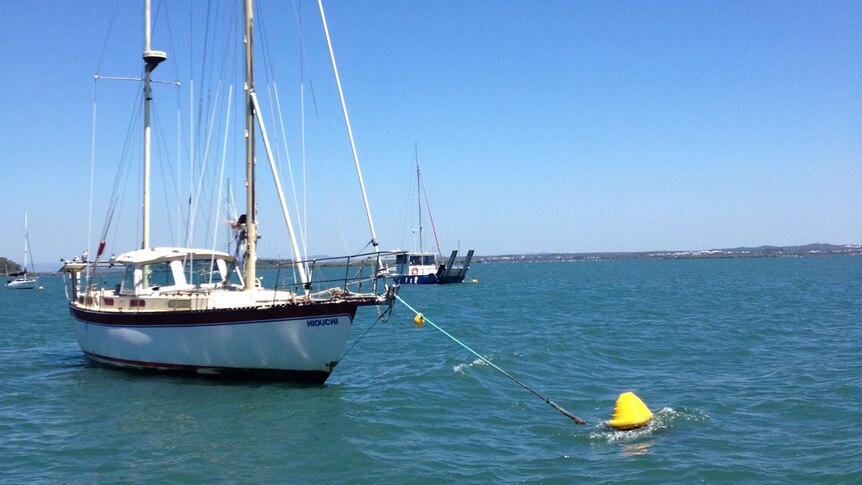 Boat using new Australian mooring invention that is helping save south-east Queensland's dugongs in Moreton Bay