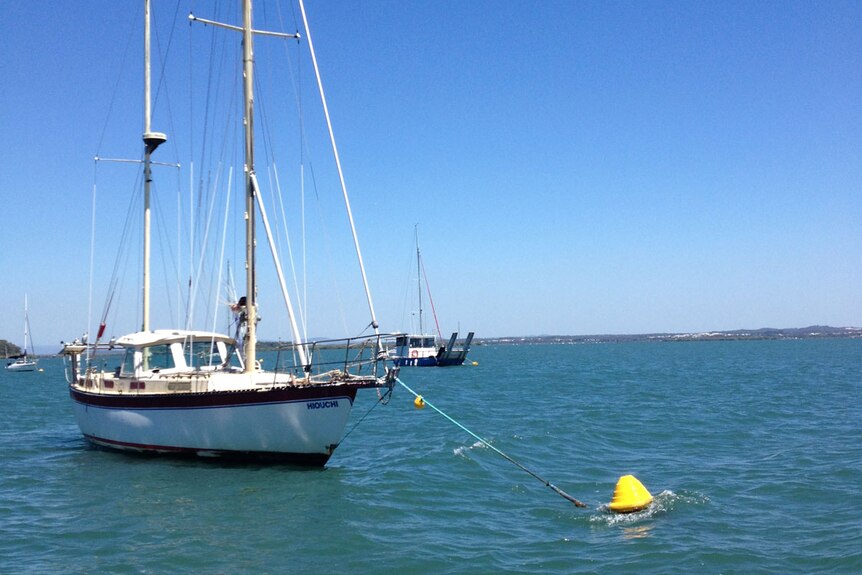 Boat using new Australian mooring invention that is helping save south-east Queensland's dugongs in Moreton Bay