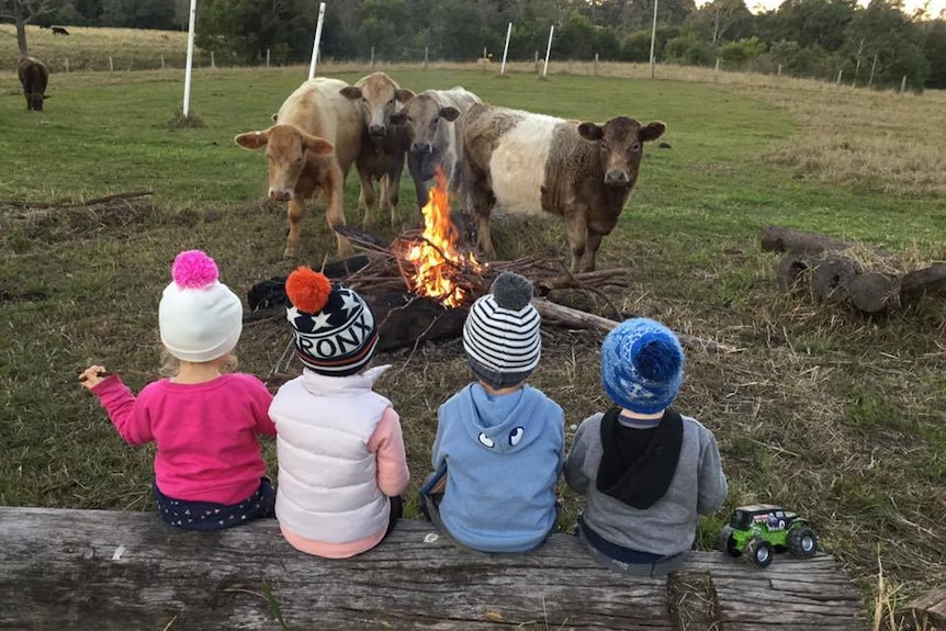 Four children sitting on a log in front of a fire facing cattle.