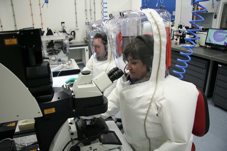 Two CSIRO scientists in full protective gear - one using a computer, the other a microscope - at the Animal Health Laboratory.