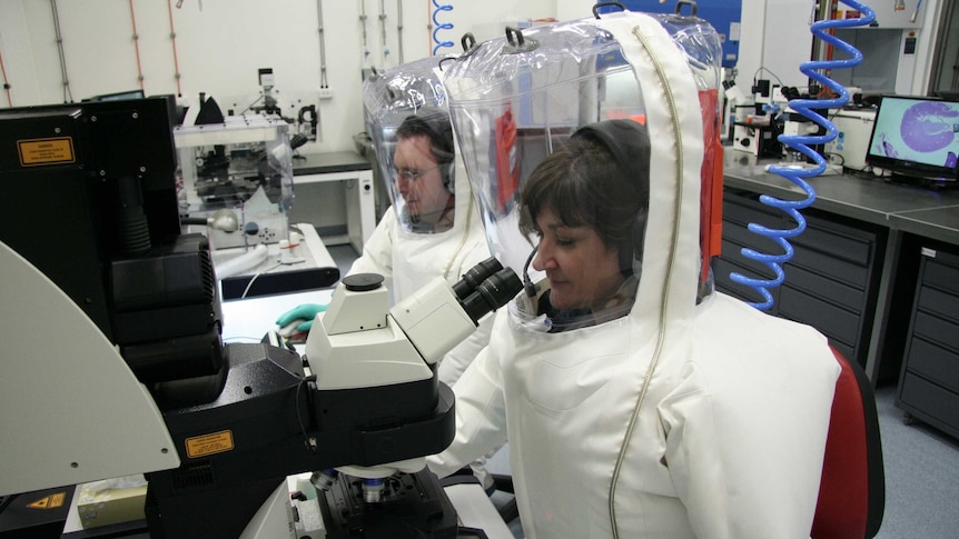 Two CSIRO scientists in full protective gear - one using a computer, the other a microscope - at the Animal Health Laboratory.