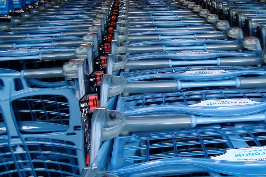 Shopping trolleys with coin locking system
