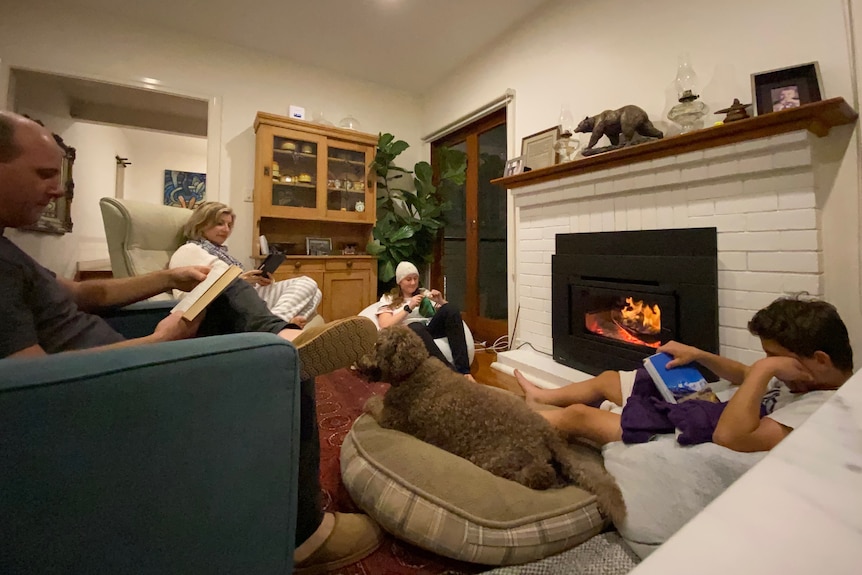 Family of four with their dog, sit before an open fire reading.