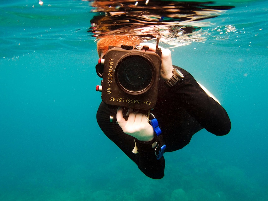 A whale's perspective of Bryant Austin during a close inspection 'event', Fiji, 2010.