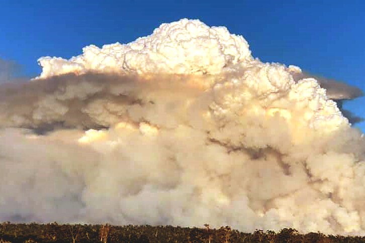 A large smoke plume above a forest.