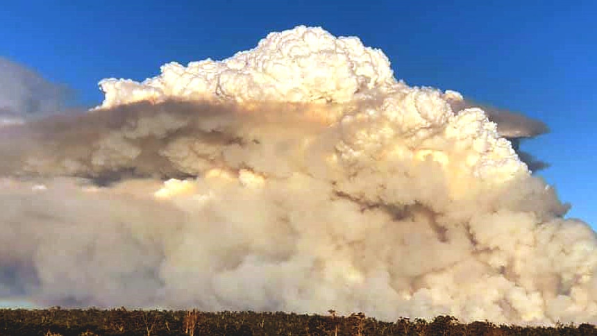 a large smoke plume above a forest