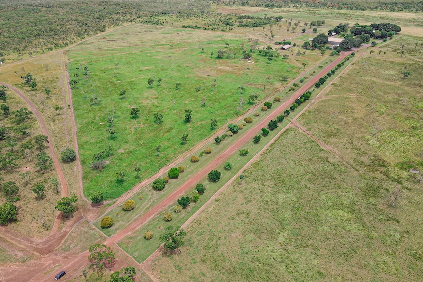 An aerial photo of a cattle station homestead. 
