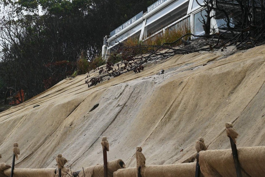 A steep sandy decline outside a swish restaurant in Byron