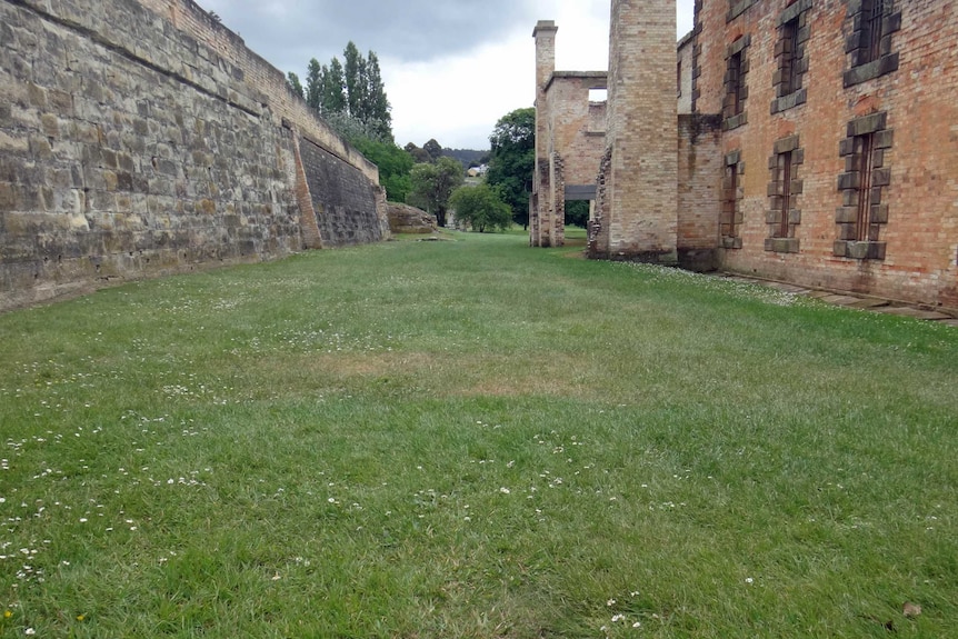 Site at Port Arthur to be excavated