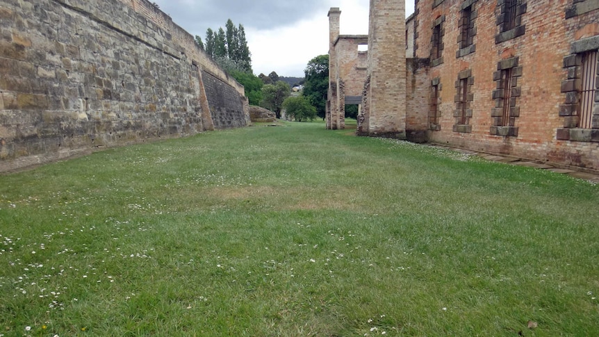 Site at Port Arthur to be excavated