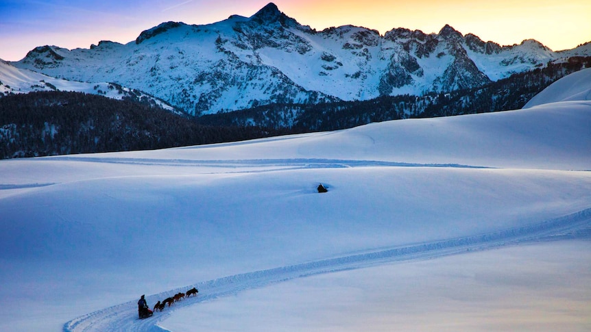 A sweeping alpine landscape is viewed at dawn, with a lone sleigh driver with eight dogs riding along a carved-out road.